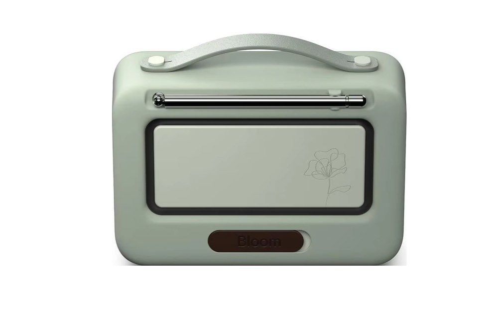 PURE 255786 - Tragbares Radio Bloom Sage
