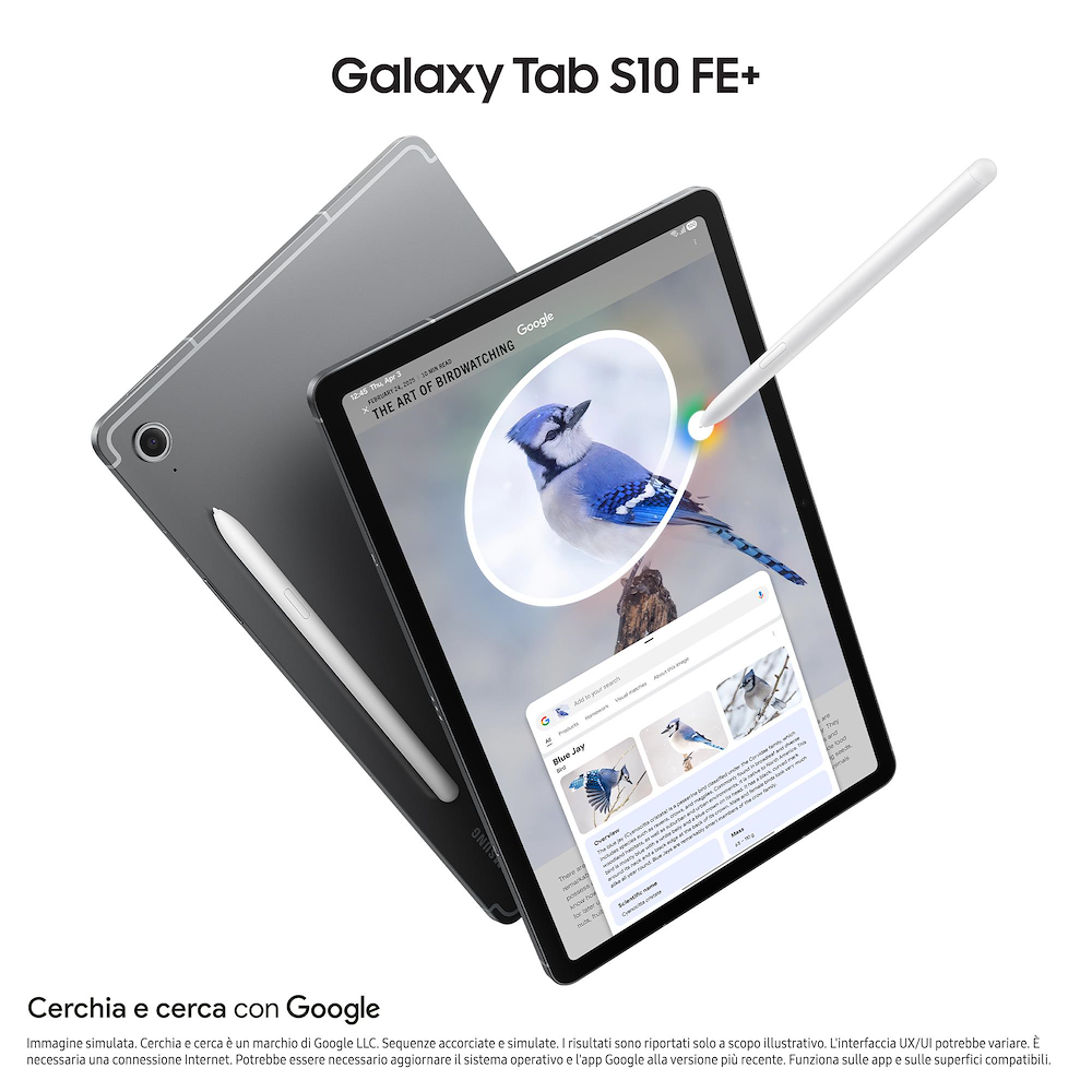 SAMSUNG SMX620NZAREUE - Samsung S10 FE 128GB WIFI Tablet