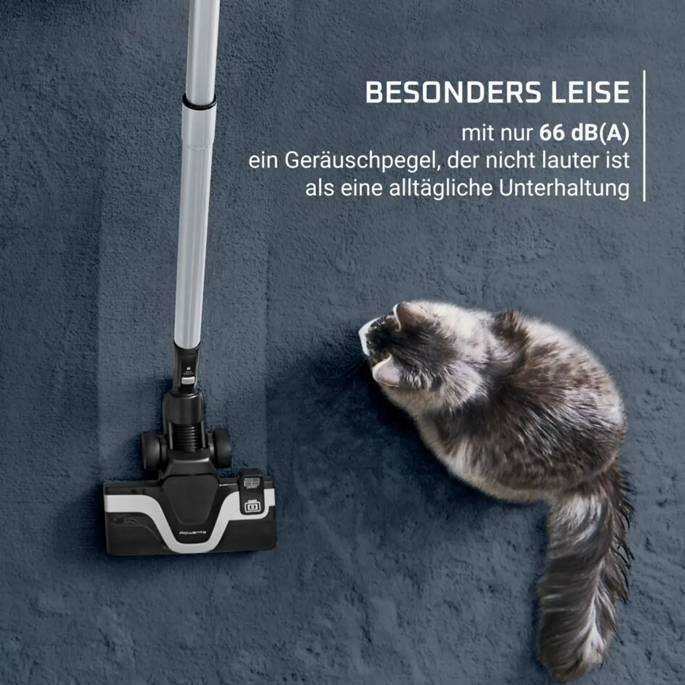Rowenta RO7C66EA - Beutelloser Bodenstaubsauger