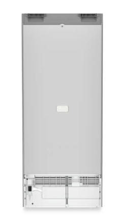 LIEBHERR RSFD4600 - Standkühlschrank mit EasyFresh Pure Silber