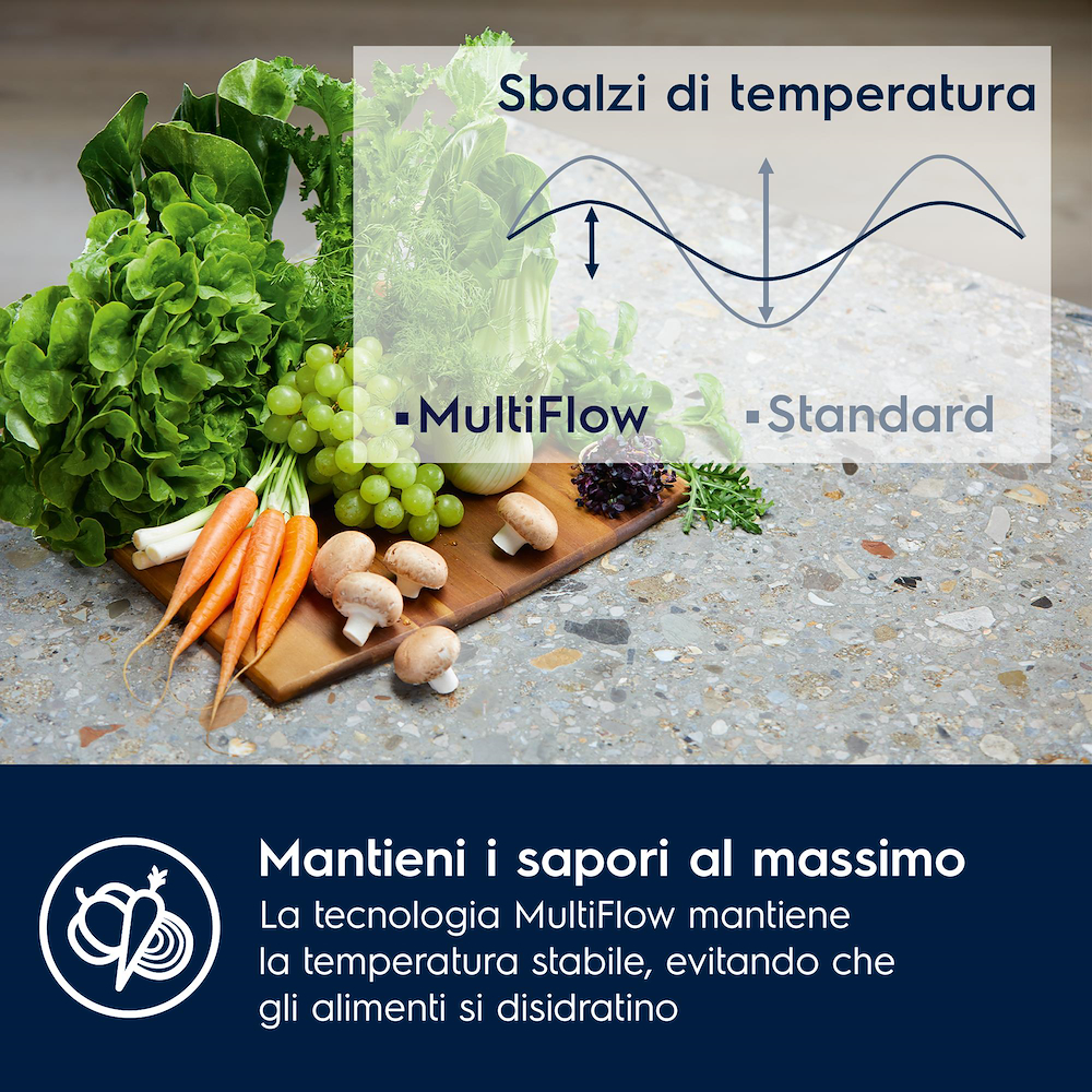 ELECTROLUX 925555020 - Gefrierschrank Total No Frost