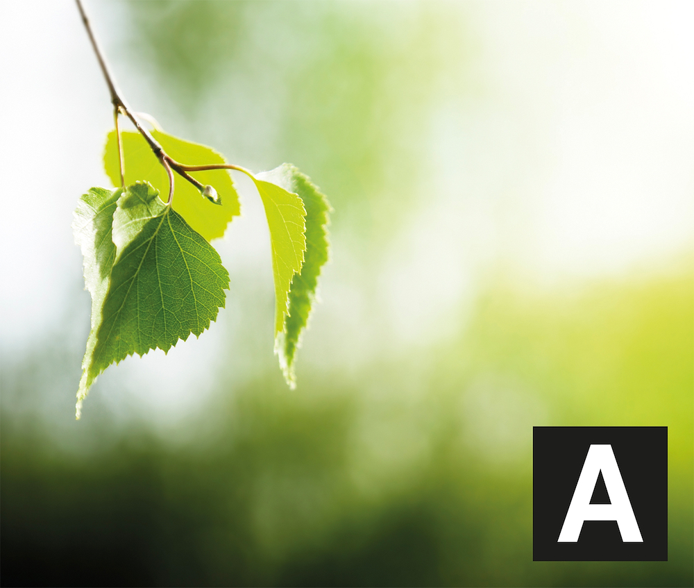 GLEM GAS SA664MWH6 - Glem Gas Küche 60x60 Multifunktion Weiß