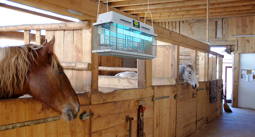 MOEL 307E - UV-A Mückenlampe 40W