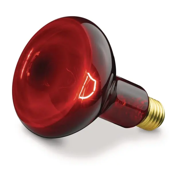 BEURER 61451 - Beurer Ersatzlampe für Infrarotlampe IL 11