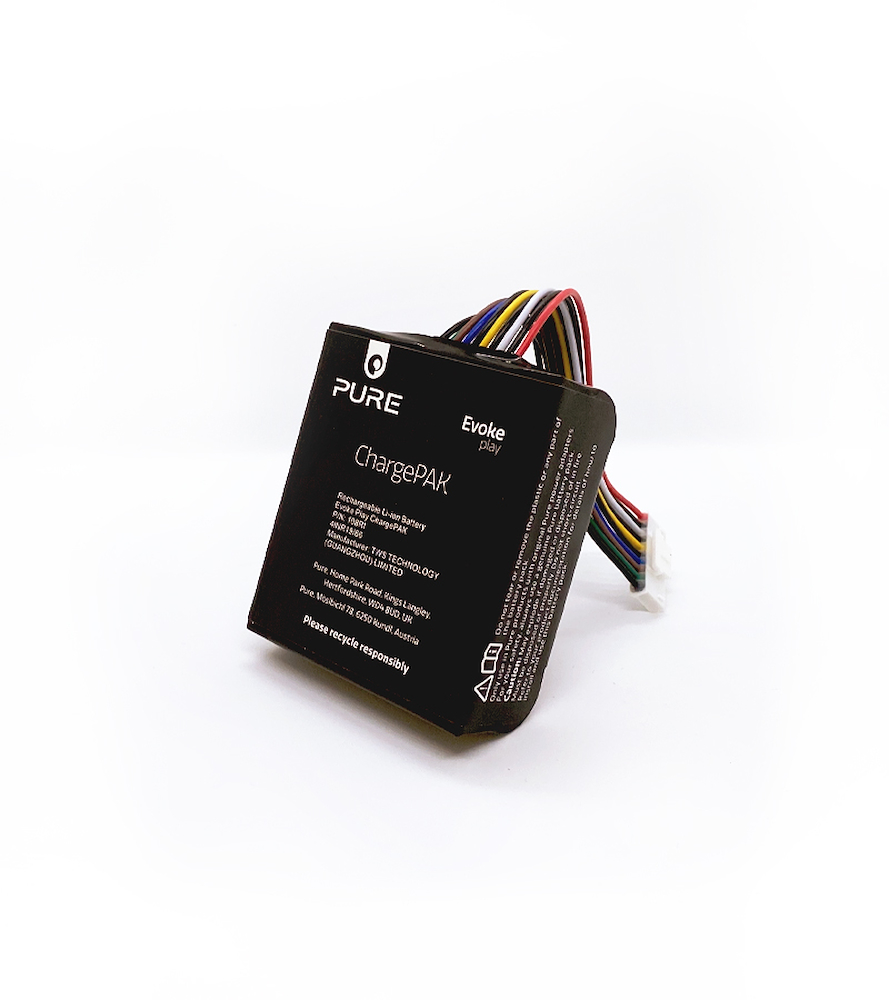 PURE 250179 - ChargePAK für Evoke Play