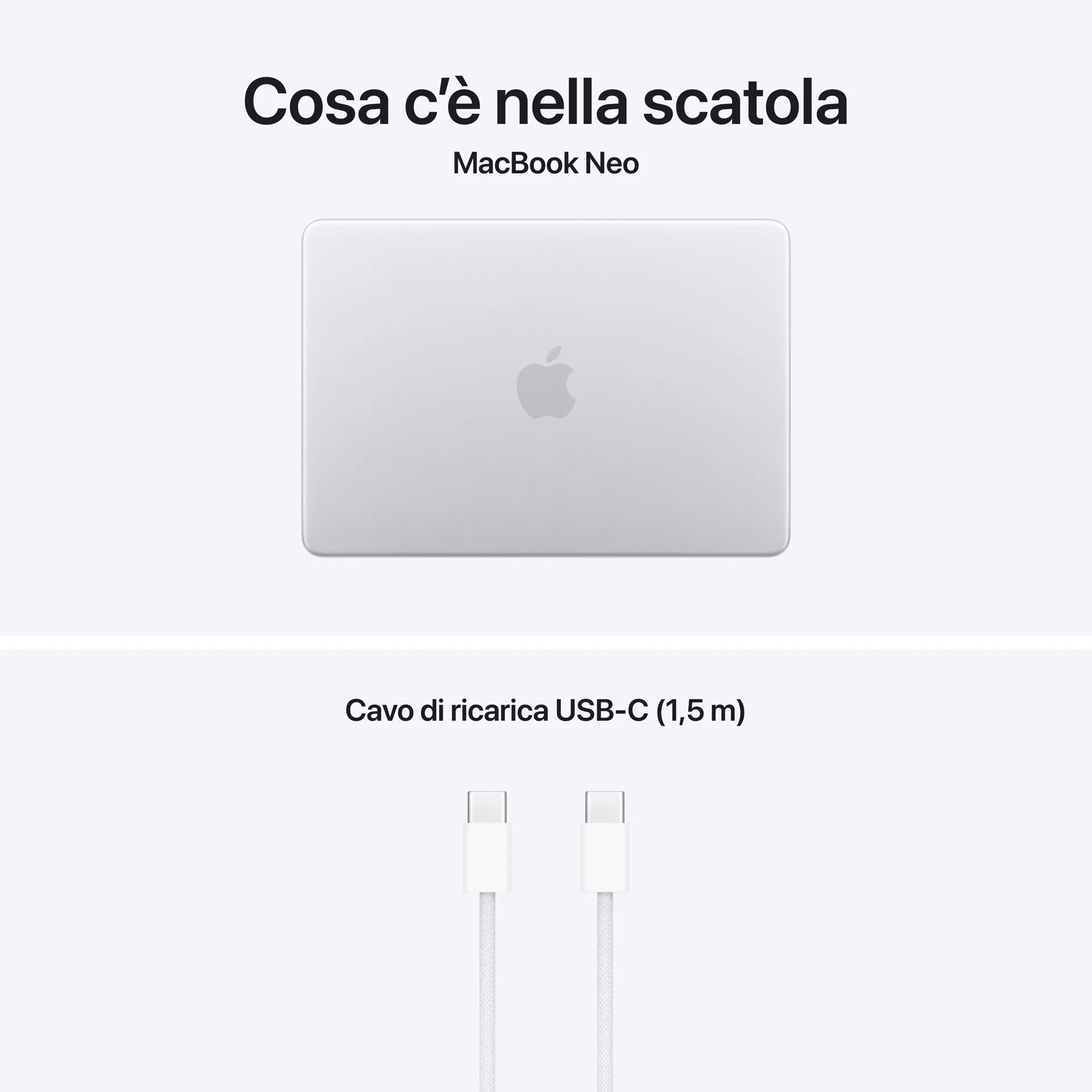 Apple MHFC4D/A - MacBook Neo 13" 2026 Silber