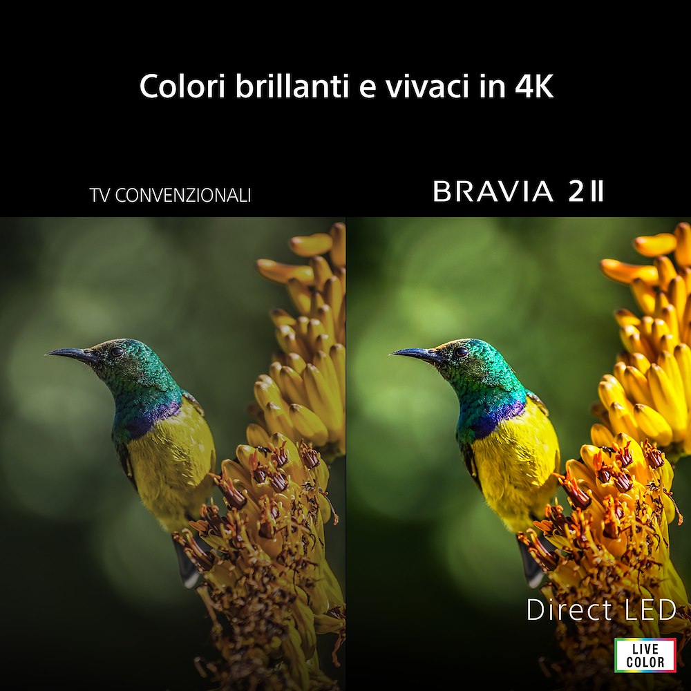 SONY K50S25M2PBCEI - 50 Zoll 4K Smart TV