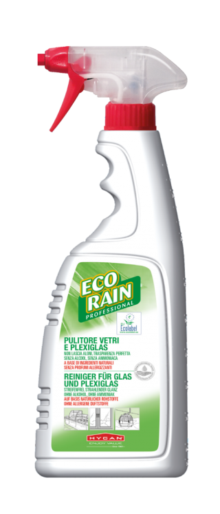 HYGAN 27037512 - Hygan HYSAN Hygienereiniger