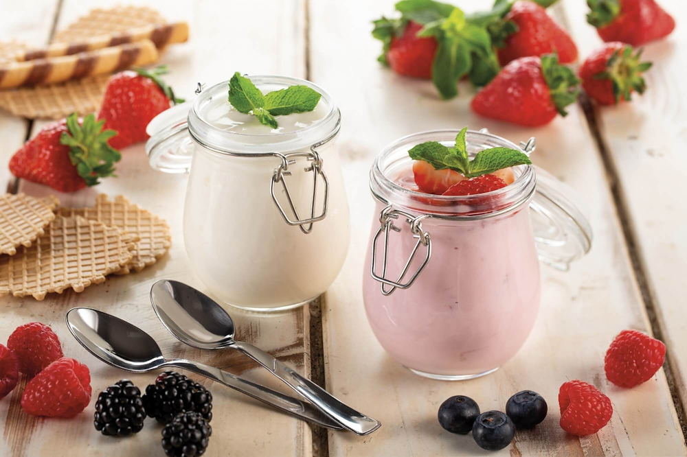 ARIETE 615 - Frischkäse und Joghurt Maschine B-Cheese