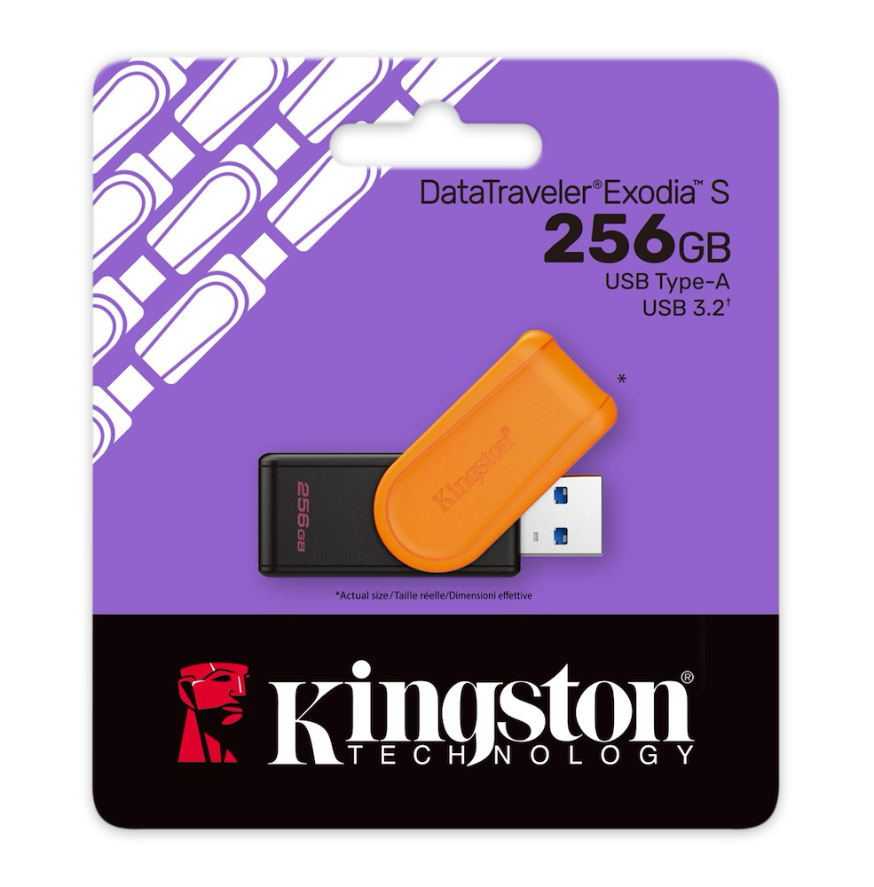 KINGSTON DTXS256GB - USB3.2 Stick 256GB