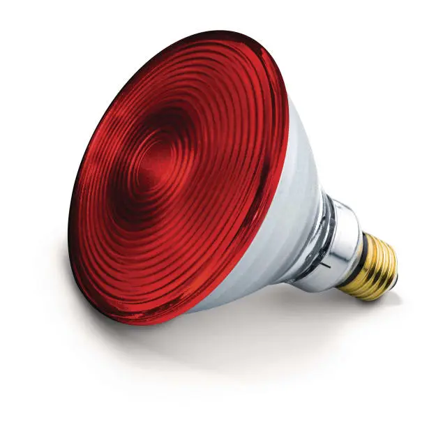 BEURER 61651 - Beurer Ersatzlampe für Infrarotlampe IL 21, IL 35