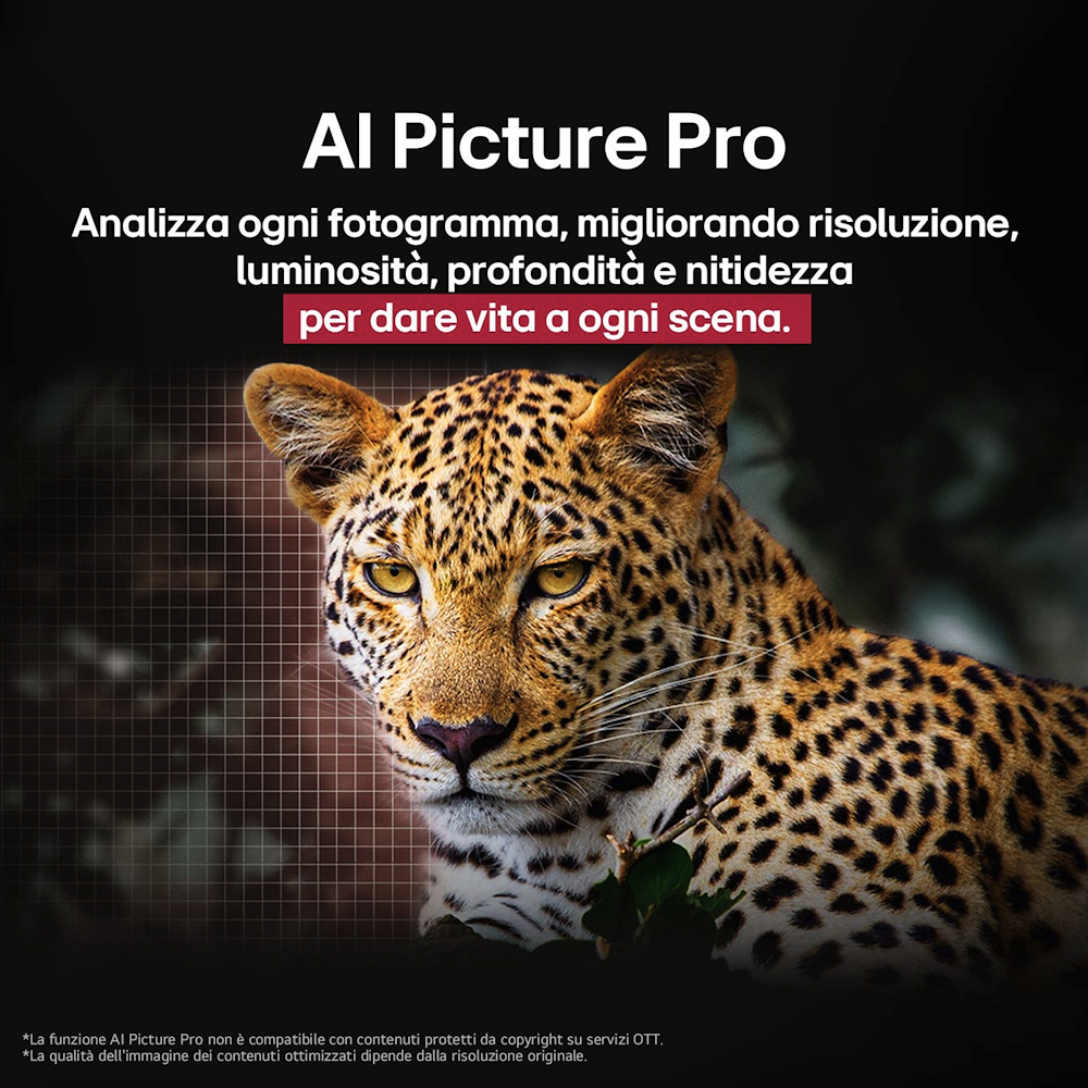 LG OLED48G56LS - TV OLED evo 48'' UHD 4K