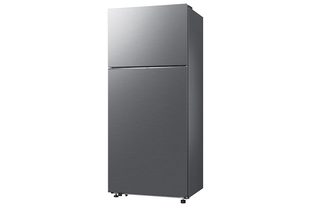 SAMSUNG RT53DG7A14S9 - Doppel-Tür Kühlschrank mit 530L und WiFi