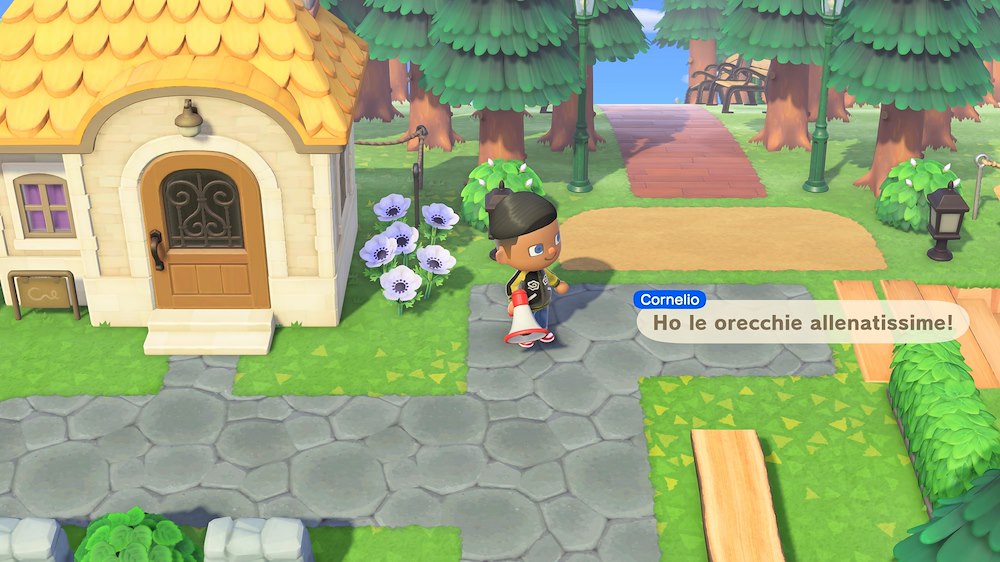 NINTENDO 10016300 - Spiel Animal Crossing Switch 2