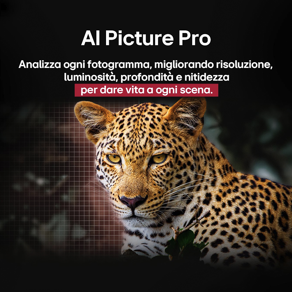 LG OLED65C55LA - 65 Zoll 4K OLED Smart TV