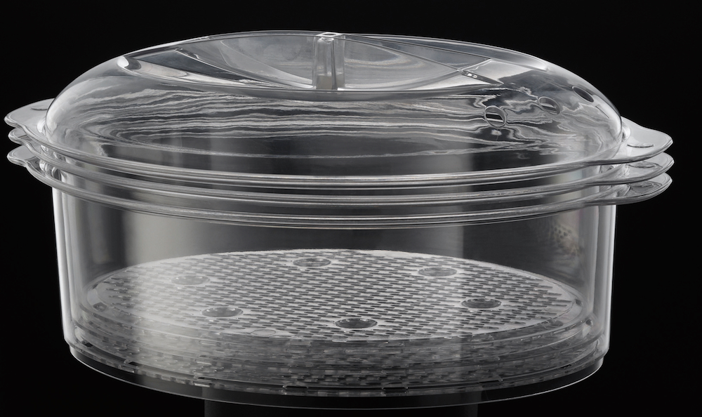 RUSSELL HOBBS 1927056 - Russell Hobbs Cook@Home Dampfgarer 19270-56