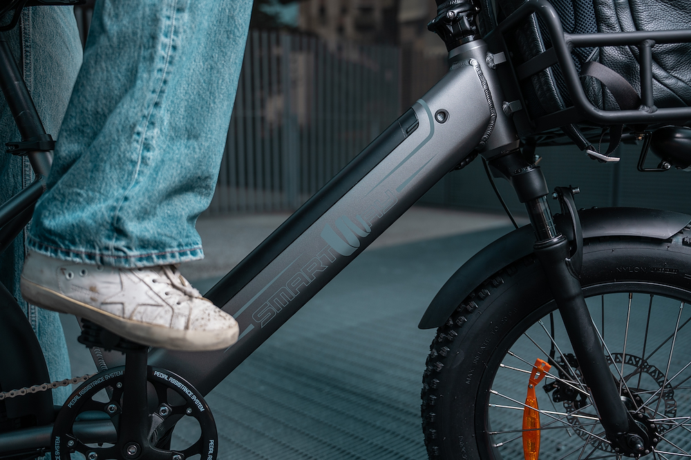 SMARTWAY M6R548ALT - E-Bike Titanium
