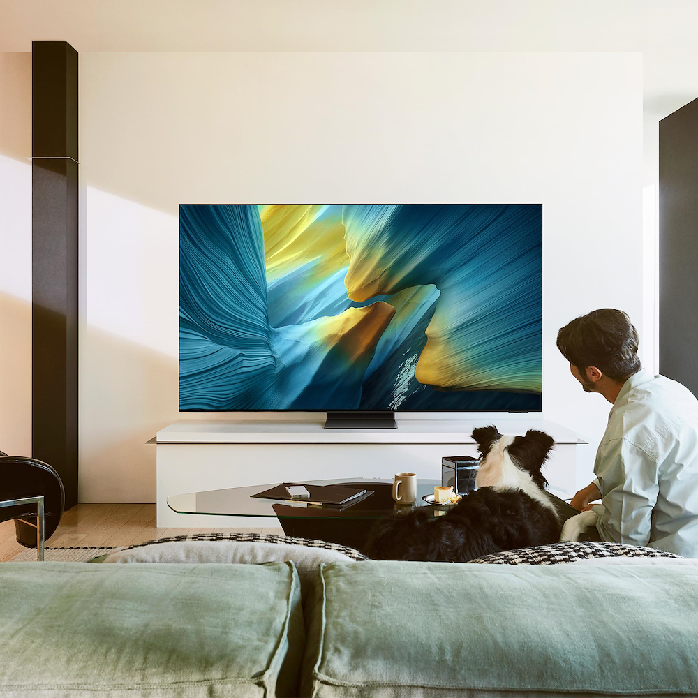 SAMSUNG QE65S95FATXZT - Fernseher OLED 65" UHD 4K