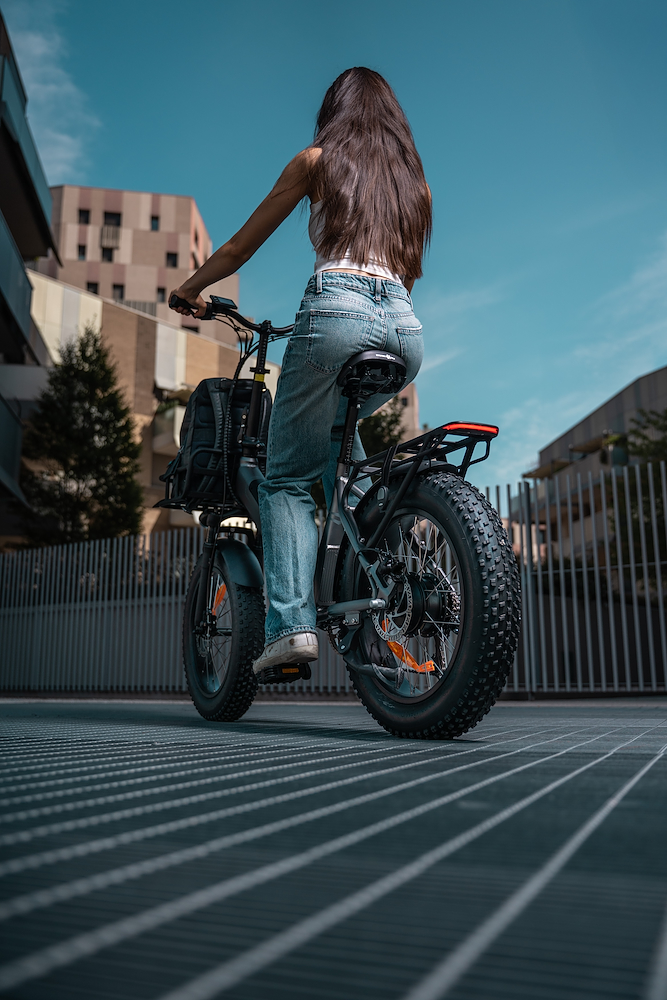SMARTWAY M6R548ALT - E-Bike Titanium