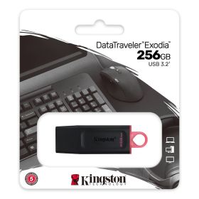 KINGSTON DTX256GB